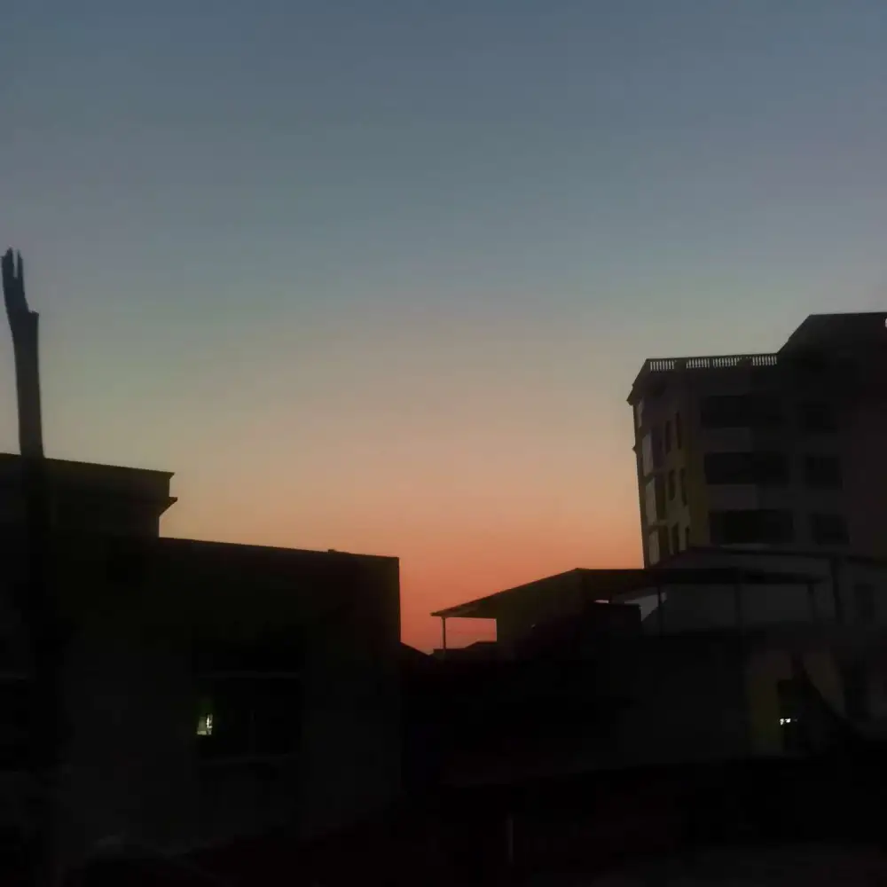 猪猪侠的专辑