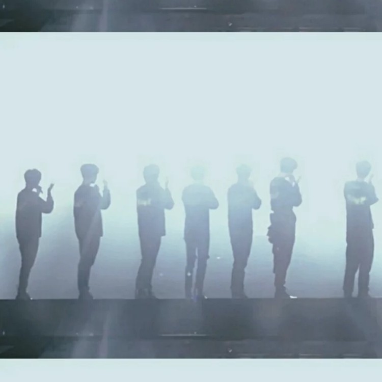 sdfj野生f的专辑