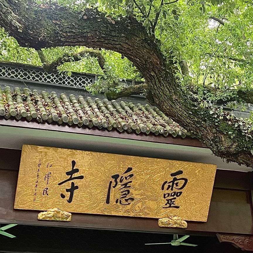 温忆杭诗词总集。