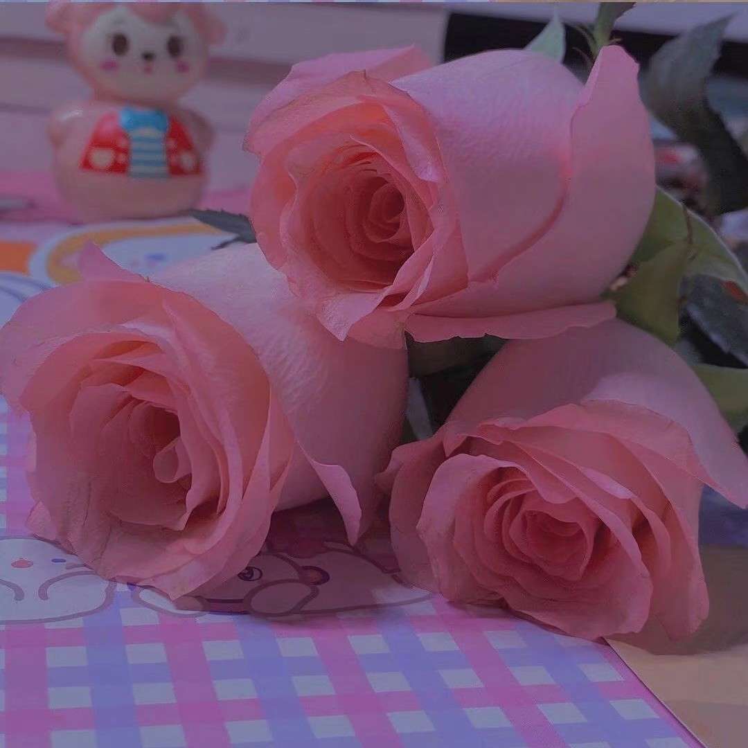 可口可爱♡的专辑