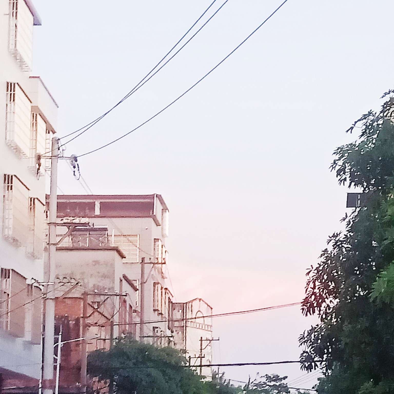 夏末薄荷味清凉