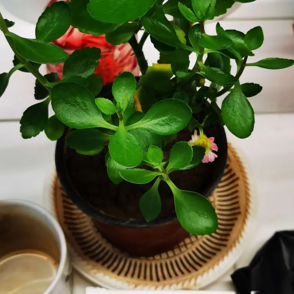 接受真实的自己