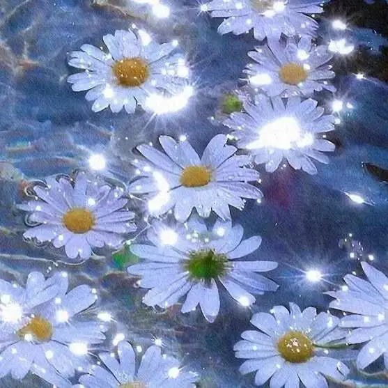 数学生的小确幸