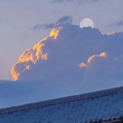 惊艳