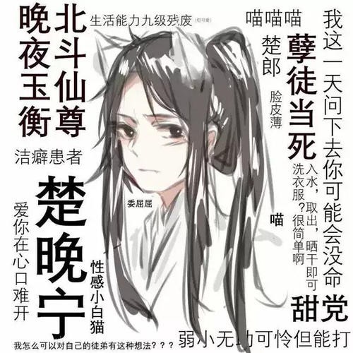 二哈和他的白猫师尊