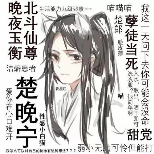 二哈和他的白猫师尊