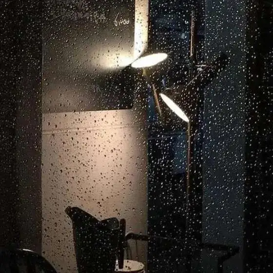 森日快乐