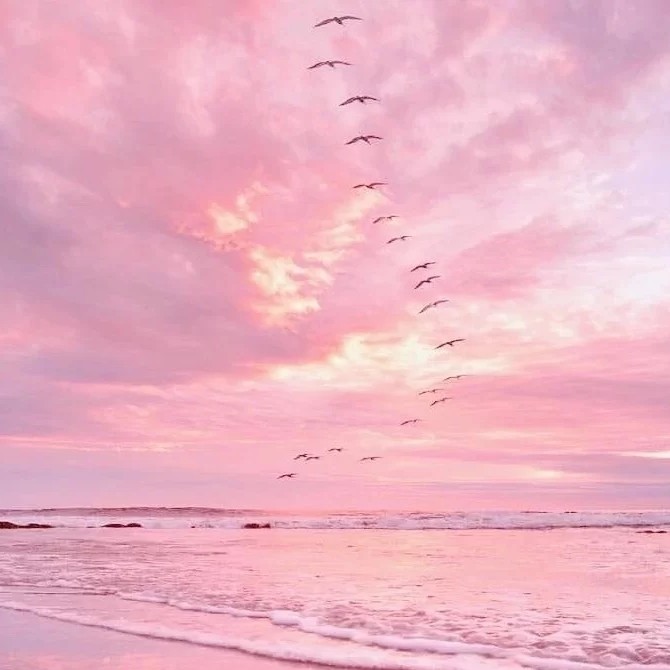 ˇ挽风走的专辑