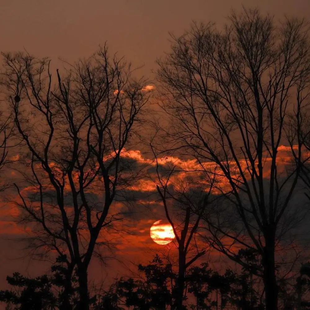 《这位大佬画风不对》