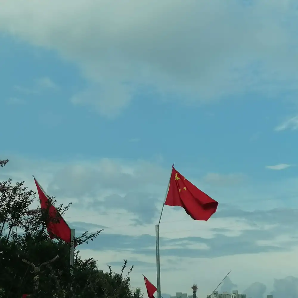 🇨🇳