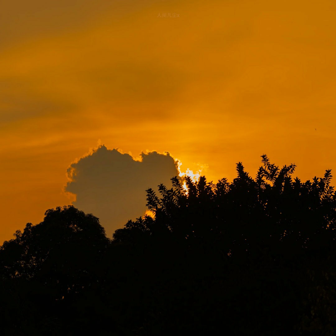 十八木专属句子库