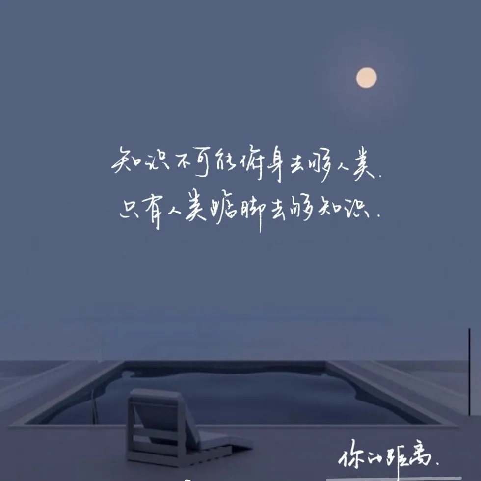 你的距离