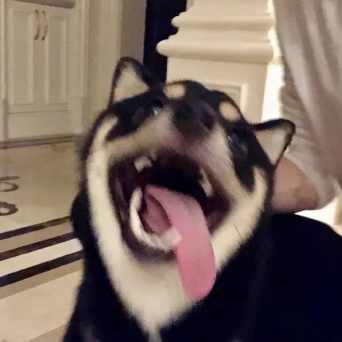 马哥的哲学世界