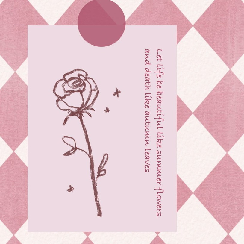 七七八八的各种句子