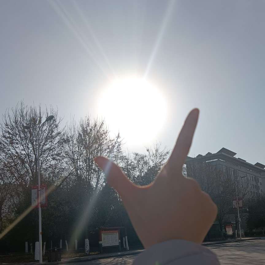 向阳的lucky girl🌸的专辑