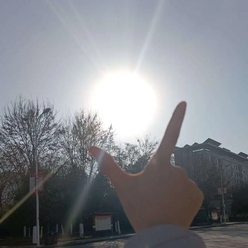 向阳的lucky girl🌸的专辑