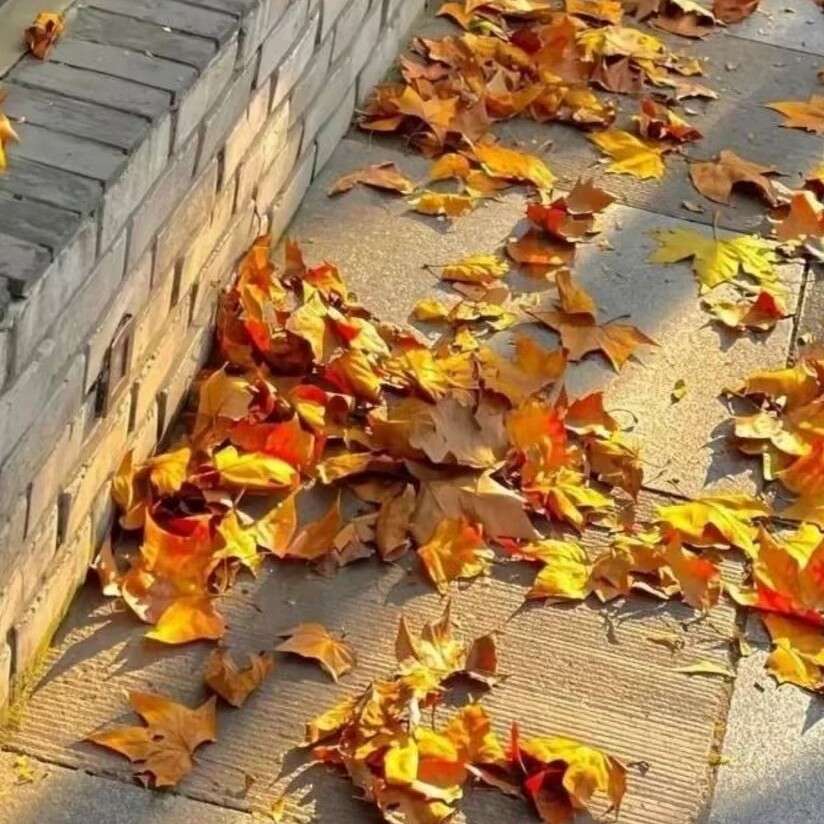 落日黄昏至初晨暮年