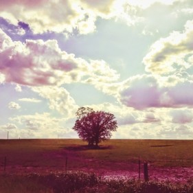 原创作文素材呀