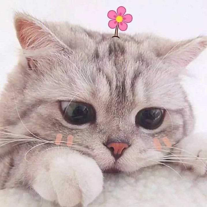 才下梢头，却上心头。