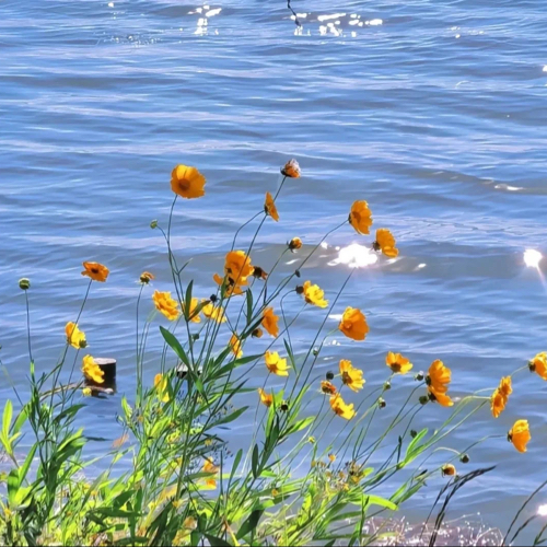 现实无奈又心酸的文案短句