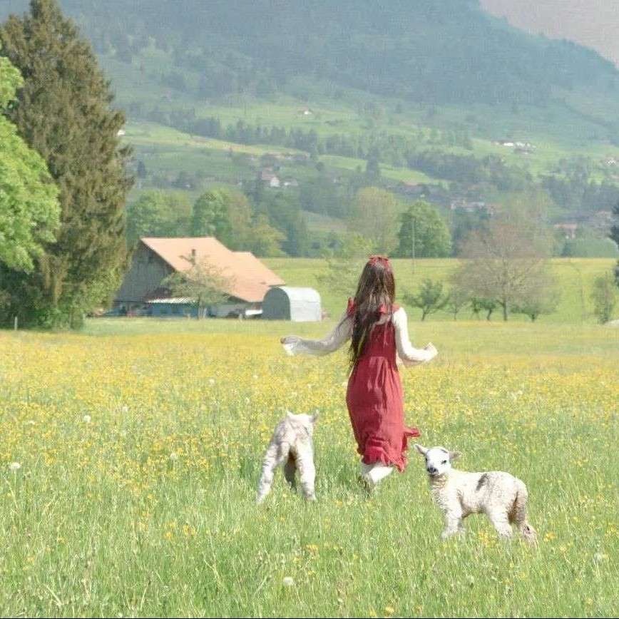 《泰戈尔Tagore》