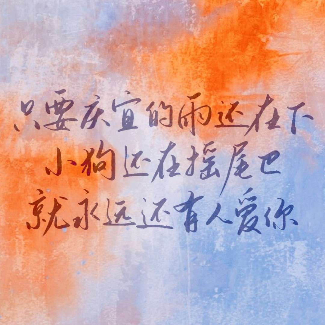 Y.的专辑
