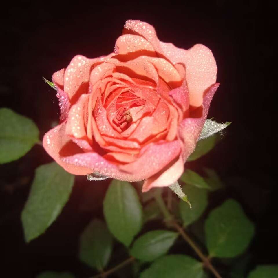 那些惊艳你很久很久的文案