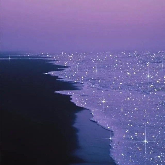 桃雾森林的收藏夹