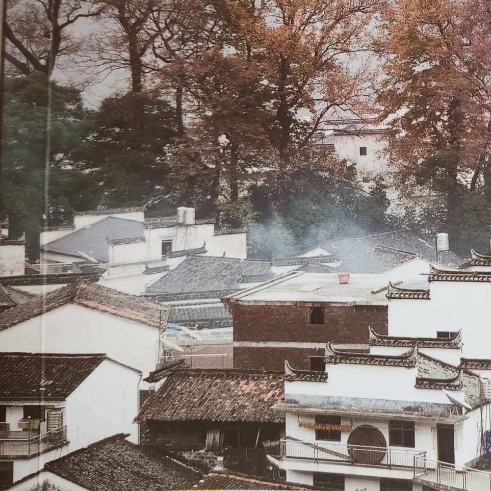 Slow   fever的专辑