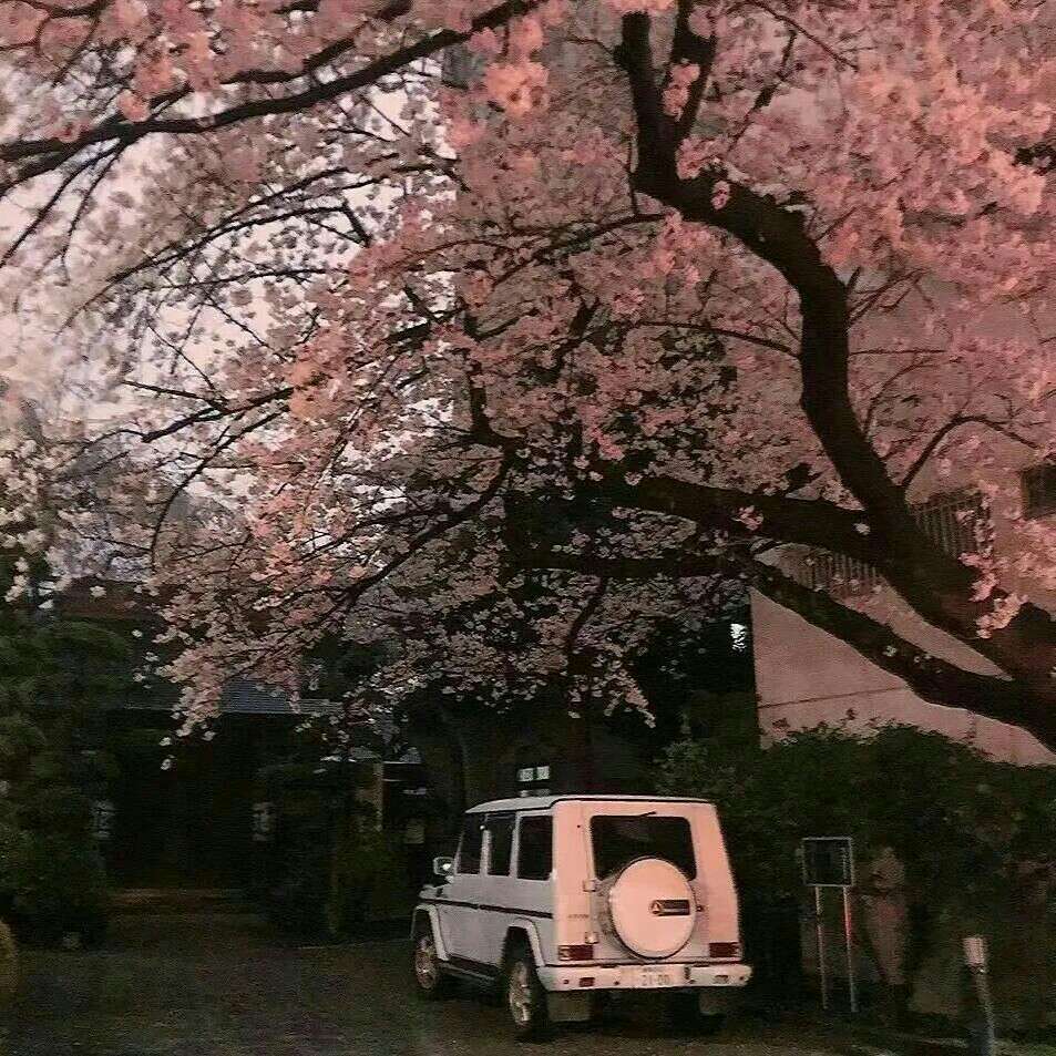 总有一天会被世俗认可