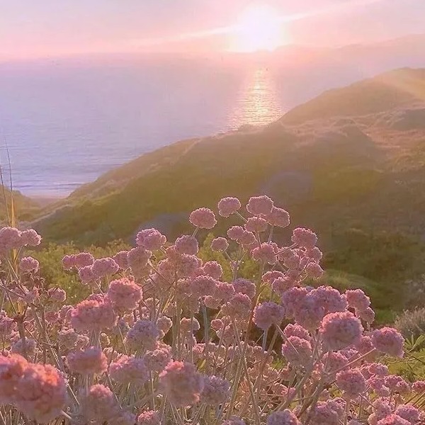 啊龙 看我一眼8⃣️的专辑