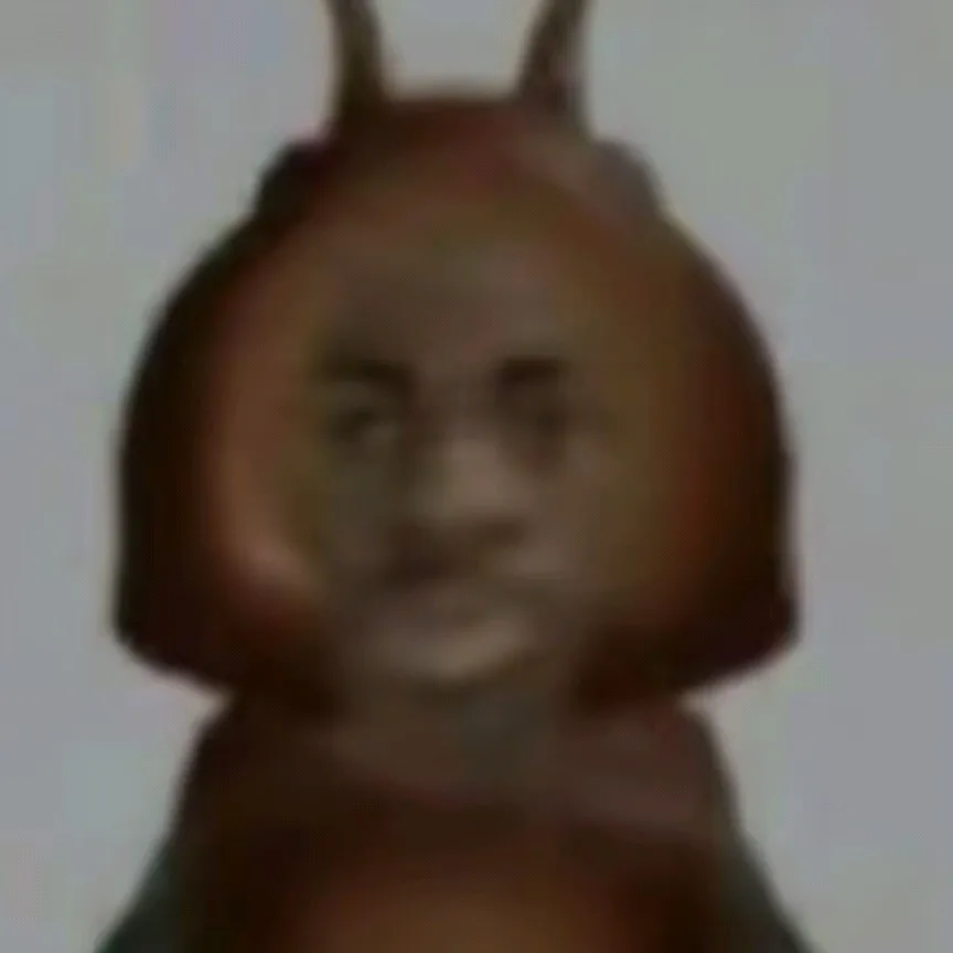 摘录