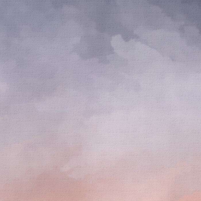 物是人非事事休