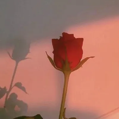 我的专辑