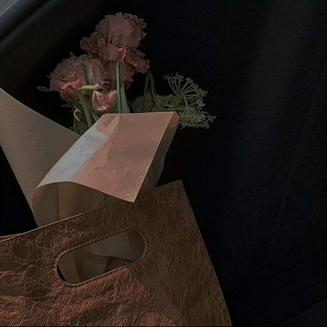 云中觅星河.的专辑