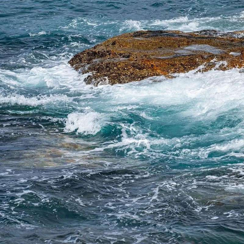 《辛弃疾词传》