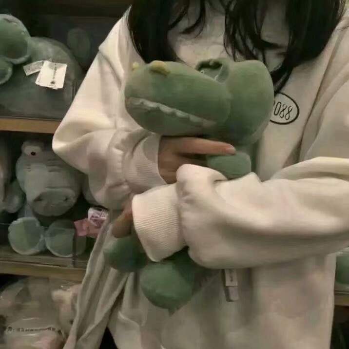 养只猫叫年年的专辑