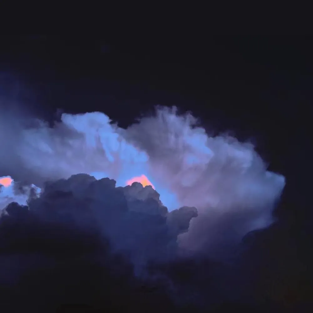 我在人间凑数的日子