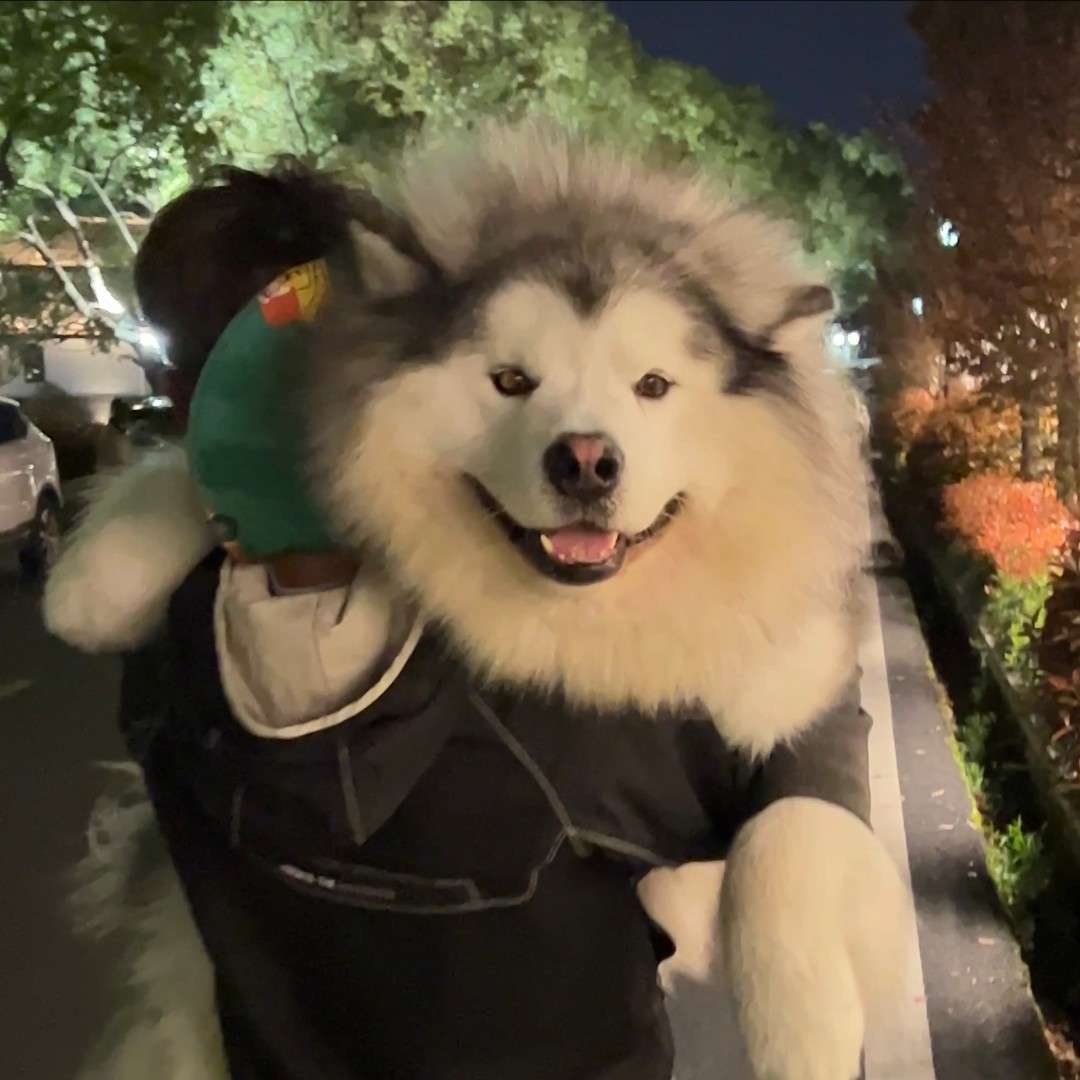 私藏珍句