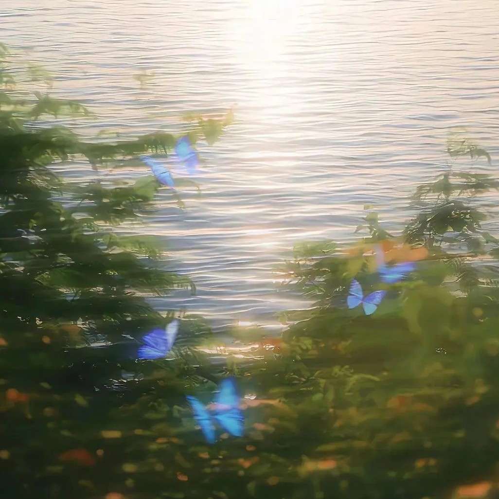 好有生命力的品牌文案