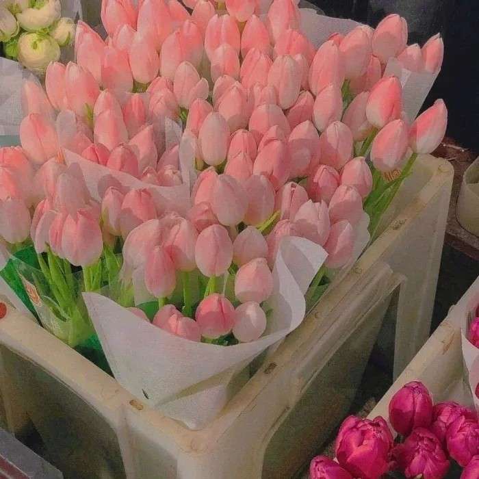 超有恋爱感的情人节pyq文案