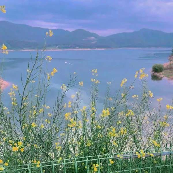 萝卜蹲完兔子蹲Dd的专辑