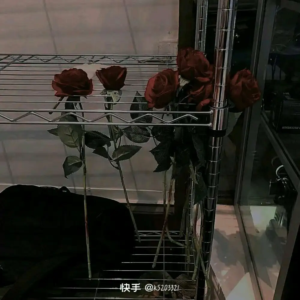 全球高考（秦究×游惑）