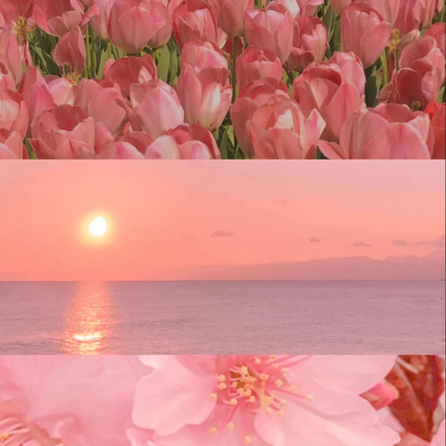 历遍山河 人间值得