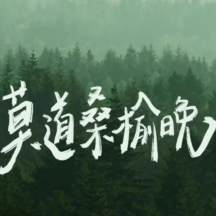 坚持的定义就是学会放弃无用的事