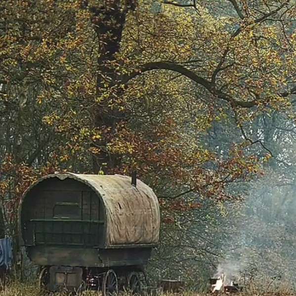 《世界上最丑的女人》