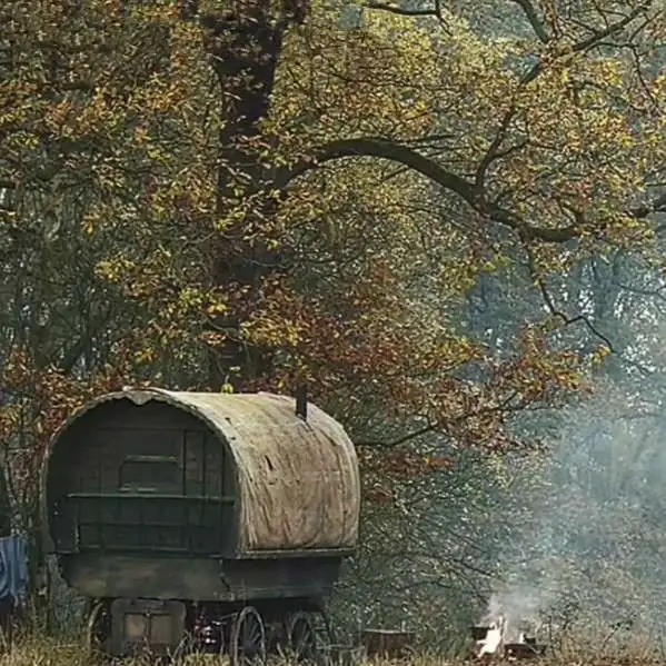 《世界上最丑的女人》