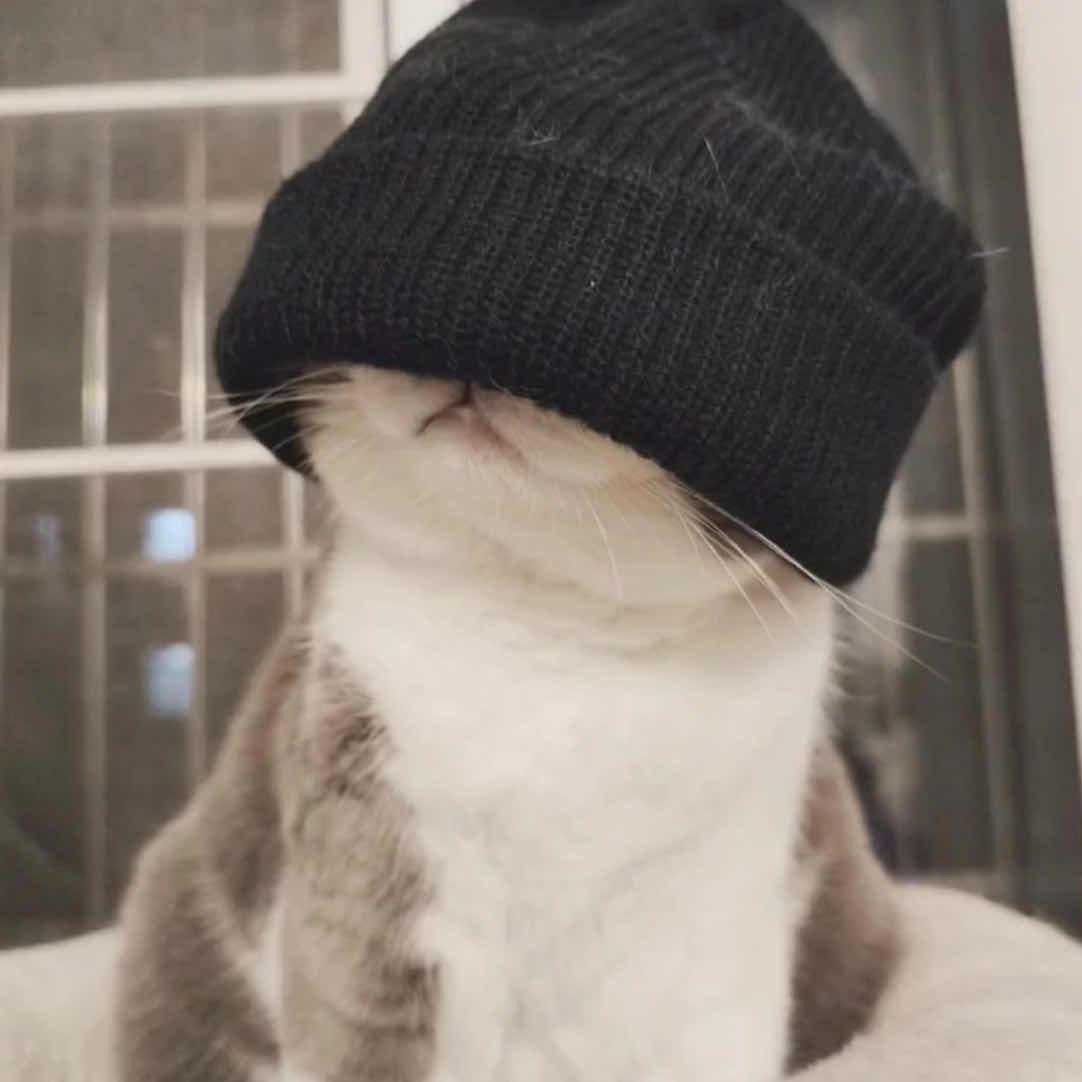 小众温柔ins文案（持续更新）