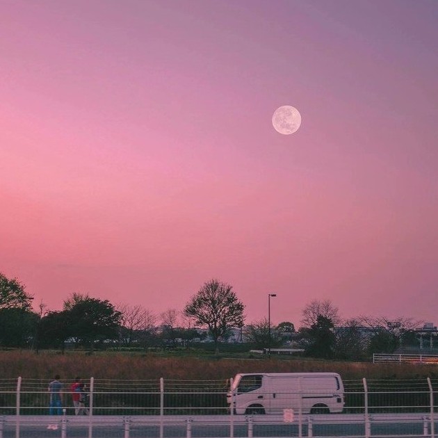 “你转身的一瞬间，我肃条的一生 ”