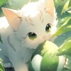 收集